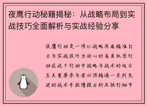 夜鹰行动秘籍揭秘：从战略布局到实战技巧全面解析与实战经验分享